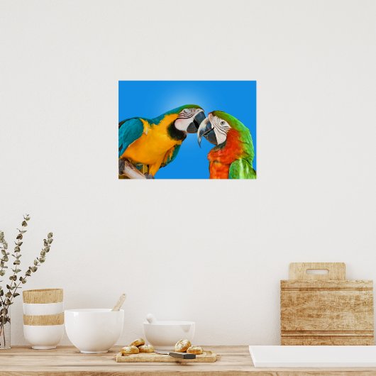 Papageien in Lieben Poster (Küche)