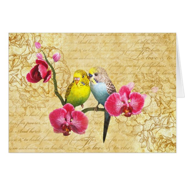 Papageien in Orchideen (Vorderseite (Horizontal))