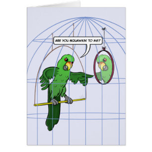 Papageien-Käfig-Kampf-Karte