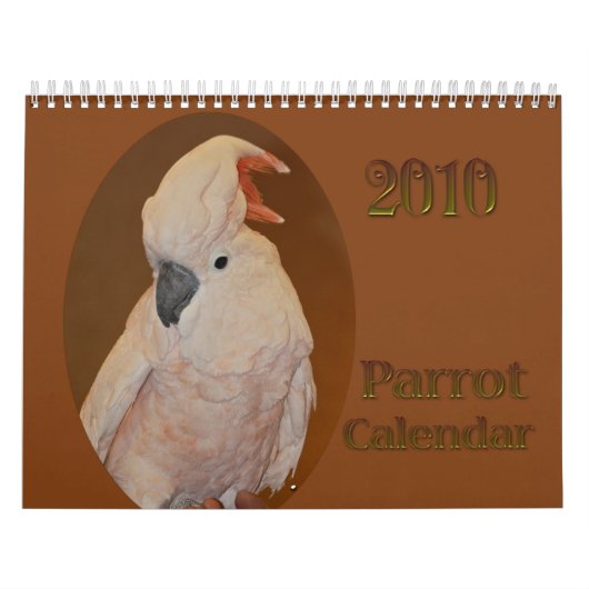 Papageien-Kalender 2010 Kalender (Titelbild)