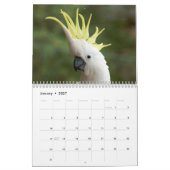 Papageien-Kalender Kalender (Jan 2027)