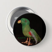Papageien-Knopf Electus Jan.s Shackelford Button (Vorne & Hinten)