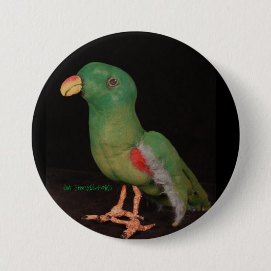 Papageien-Knopf Electus Jan.s Shackelford Button (Vorderseite)