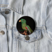 Papageien-Knopf Electus Jan.s Shackelford Button (Beispiel)