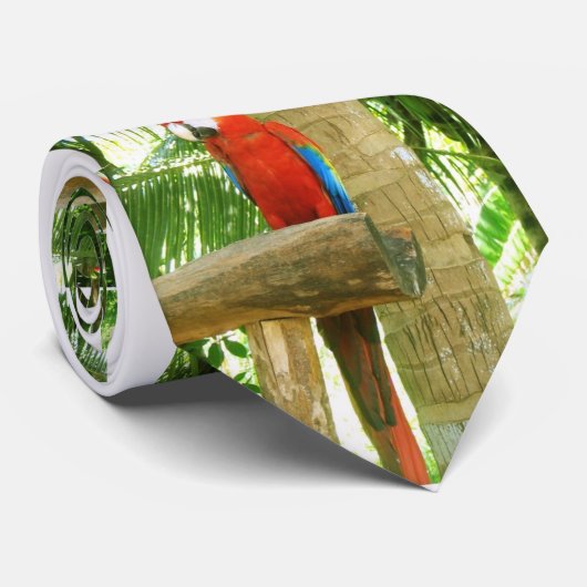 Papageien-Krawatte Krawatte (Gerollt)