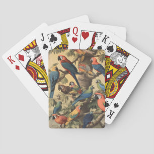 Papageien-Kronendach Vintage-Botanik Luxus Spielkarten