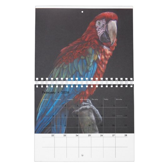 Papageien-Leidenschafts-Kalender für Sie Kalender (Feb 2026)