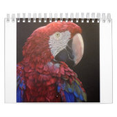 Papageien-Leidenschafts-Kalender für Sie Kalender (Titelbild)