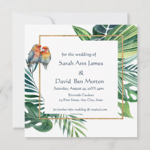 Papageien Liebesvogel Tropische Natur Termin vorme Save The Date