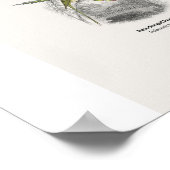 Papageien - Naturalist's Library Poster (Ecke)