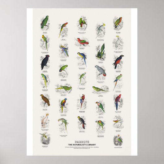 Papageien - Naturalist's Library Poster (Vorne)