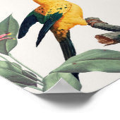 Papageien Poster (Ecke)