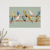 Papageien Poster (Küche)