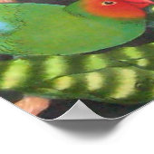 Papageien Poster (Ecke)
