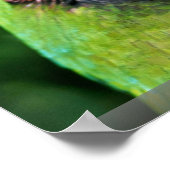 Papageien Poster (Ecke)