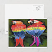 Papageien Postkarte (Vorne/Hinten)