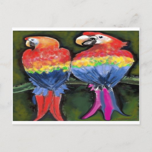 Papageien Postkarte (Vorderseite)