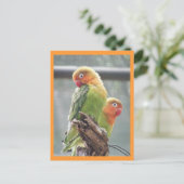 Papageien Postkarte (Stehend Vorderseite)