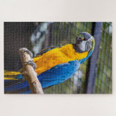 Papageien-Rätsel Puzzle (Horizontal)
