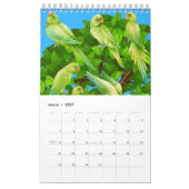 Papageien-Sammlungskalender. Kalender (Mär 2027)