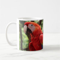 Papageien-Tasse