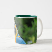 Papageien-Tasse Zweifarbige Tasse (VorderseiteRechts)