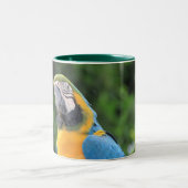 Papageien-Tasse Zweifarbige Tasse (Mittel)