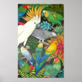 Papageien und Bromeliads Poster (Vorne)