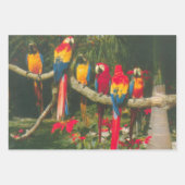 Papageien und Poinsettias Foto Weihnachten Geschenkpapier Set (Vorderseite 2)