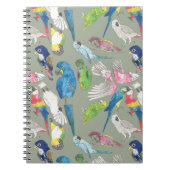Papageien und 'Toos Notizblock (Vorderseite)