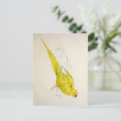 Papageien, Vintag, Vogelillustration, Bohemisch Postkarte (Stehend Vorderseite)