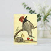 Papageien, Vintag, Vogelillustration, Bohemisch Postkarte (Stehend Vorderseite)