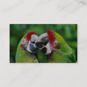 Papageien Visitenkarte (Rückseite)