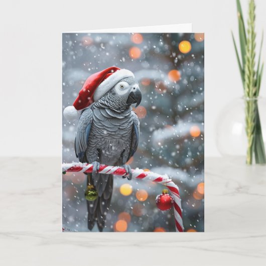 Papageien-Weihnachtskarte — Winterwunder Karte (Vorderseite)