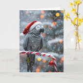 Papageien-Weihnachtskarte — Winterwunder Karte (Gelbe Blume)