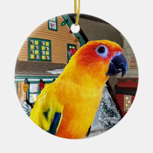 Papageien-Weihnachtsverzierung Sun Conure Keramik Ornament (Vorne)