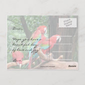 Papageien zum glücklichen Vater Postkarte (Rückseite)