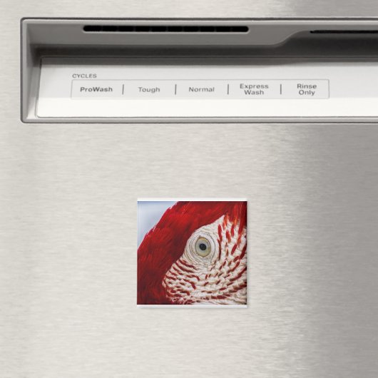 Papageienauge Magnet (In Situ (Geschirrspüler))