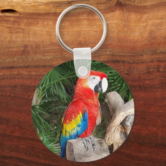 Papageienauge Schlüsselanhänger (Vorderseite)