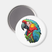 Papageienbild Cartoon Magnet (Vorderseite/Rückseite)