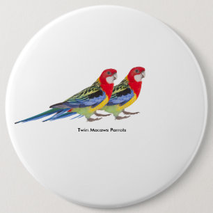 Papageienbild für das Kolossal Round-Abzeichen Button