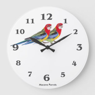 Papageienbild zur runden (großen) Wandklemme Große Wanduhr