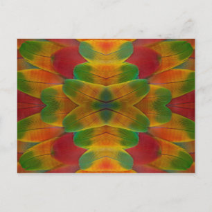 Papageienfeder Kaleidoskop Postkarte