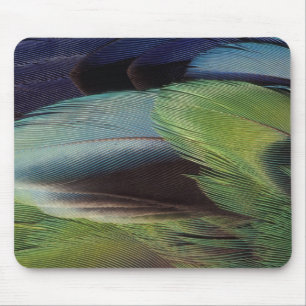 Papageienfeder-Musterdesign Mousepad