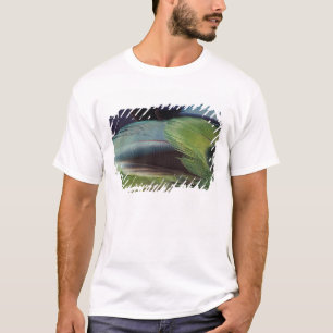 Papageienfeder-Musterdesign T-Shirt