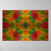 Papageienfeder Poster (Vorne)