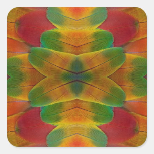 Papageienfeder Quadratischer Aufkleber (Vorderseite)