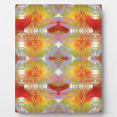 Papageienfedern Fotoplatte (Vorderseite)