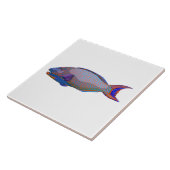 Papageienfisch Fliese (Seite)