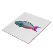 Papageienfisch Fliese (Seite)